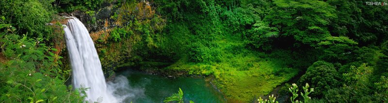 Waterfall in lush green forest