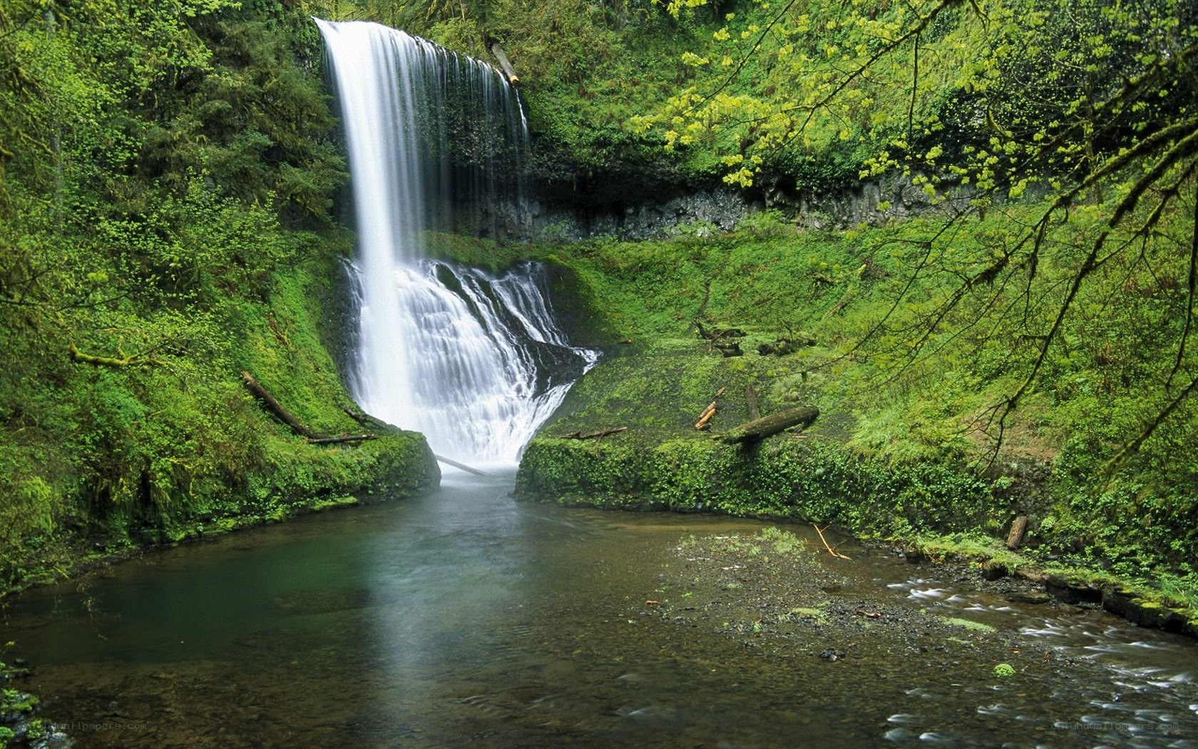 Waterfall in lush green forest
