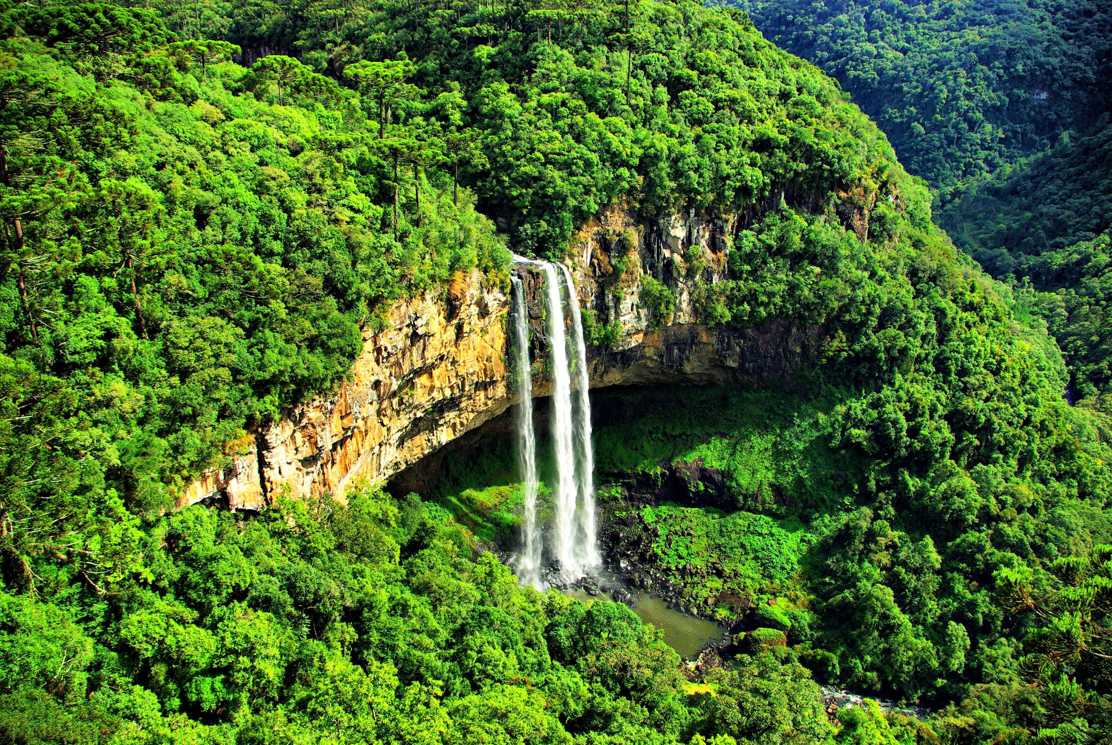 Waterfall in lush green forest
