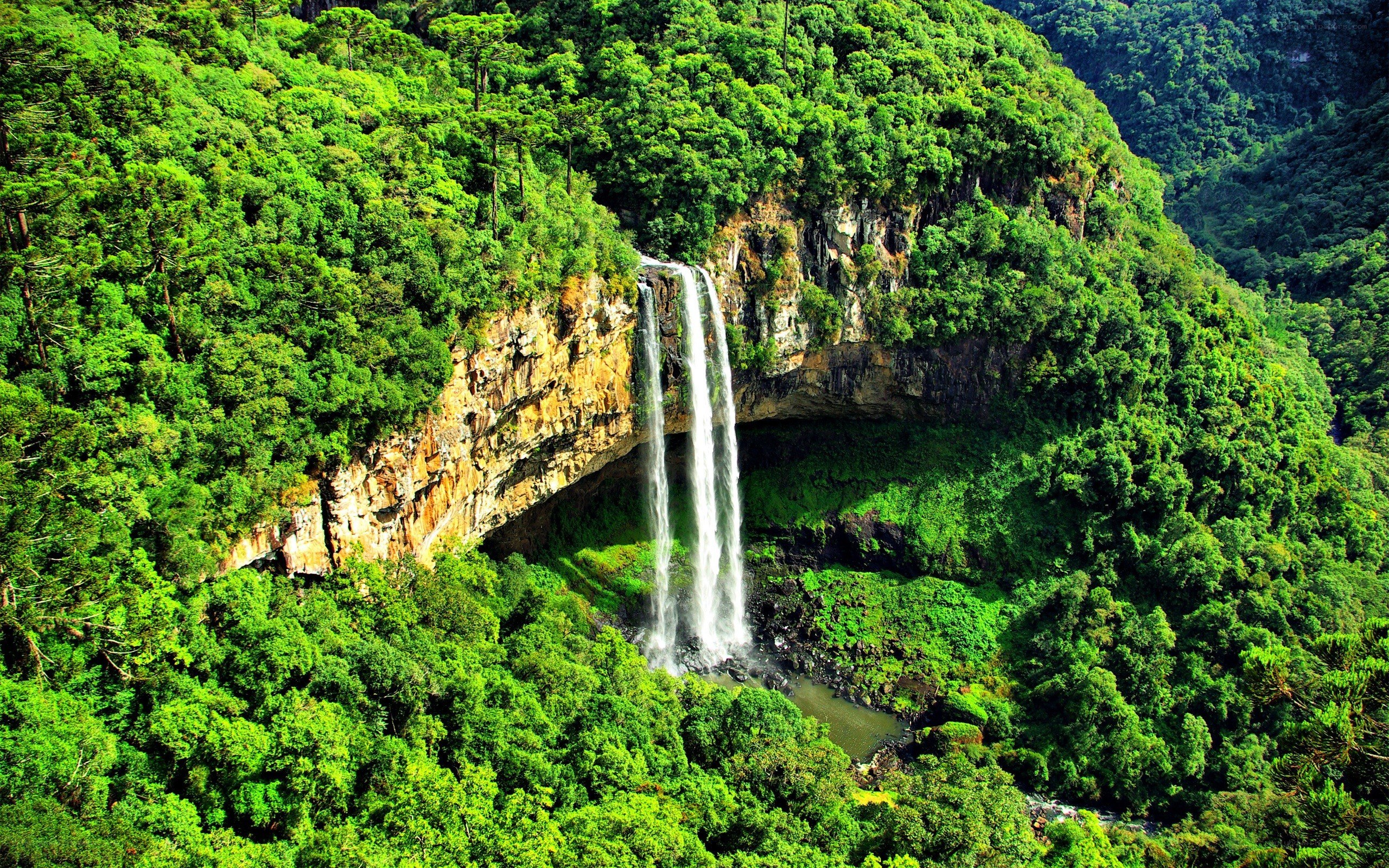 Waterfall in lush green forest