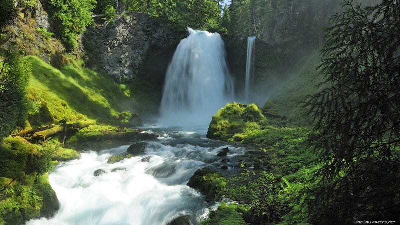 Waterfall in lush green forest