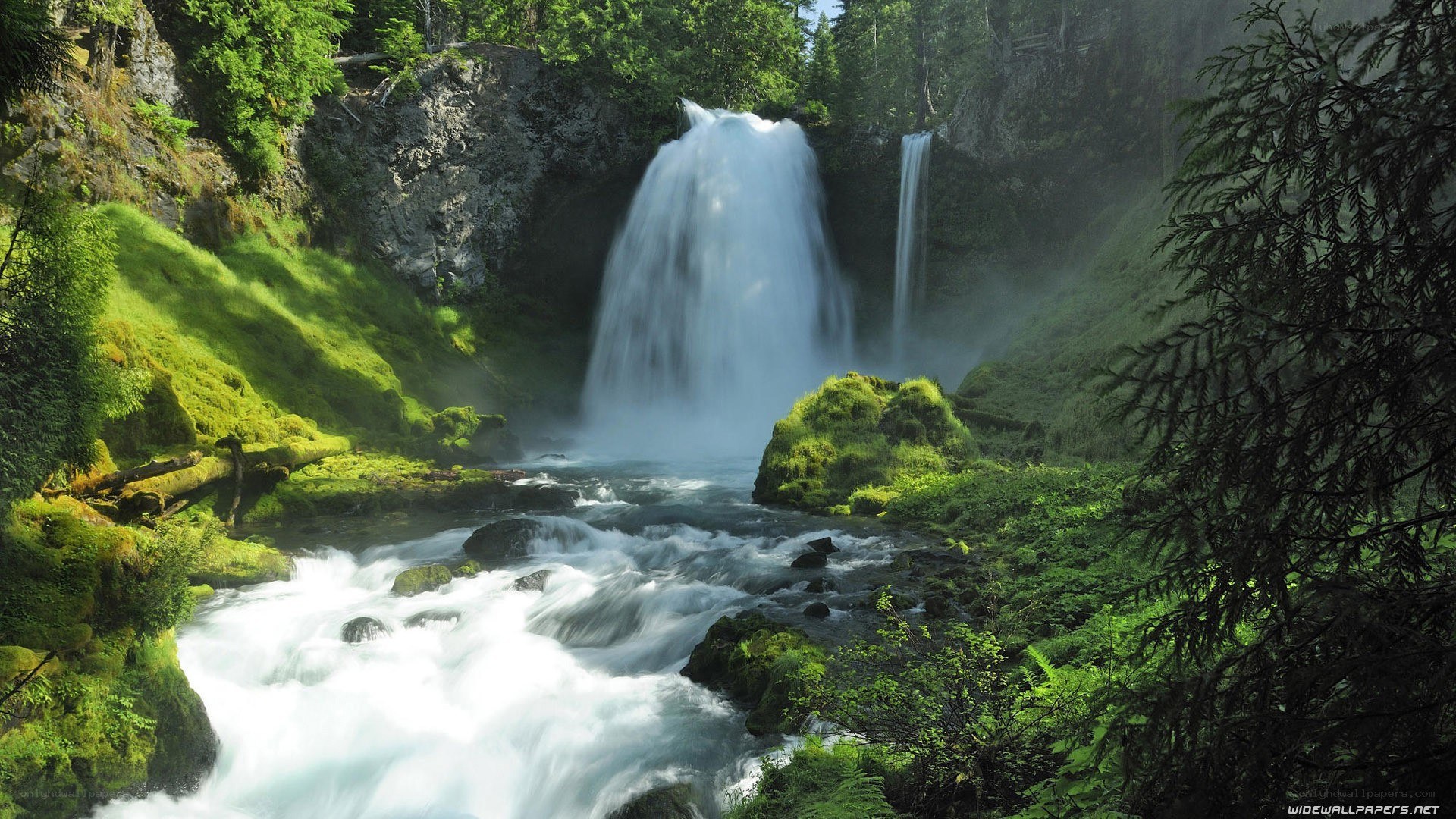 Waterfall in lush green forest