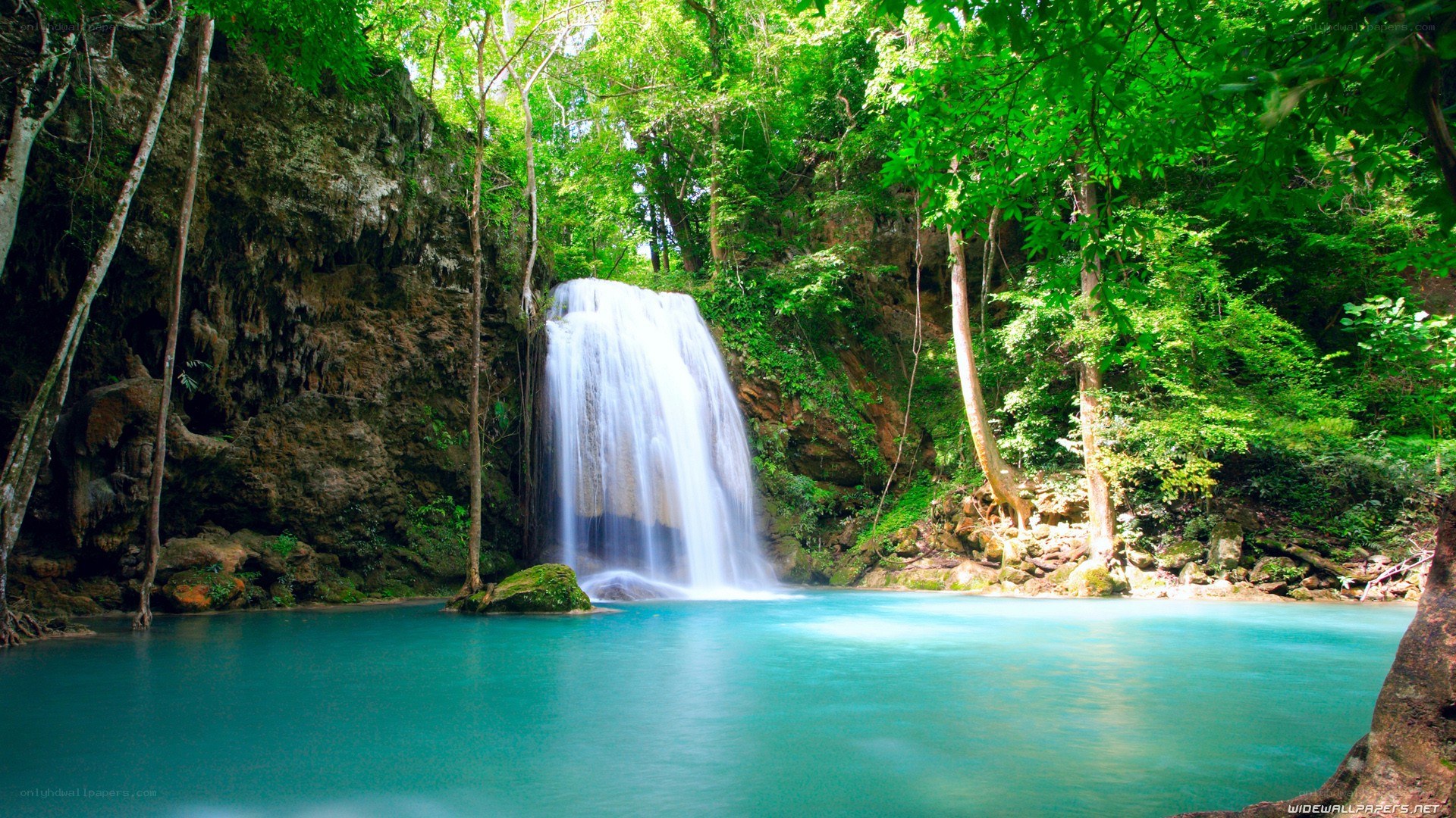 Waterfall in lush green forest