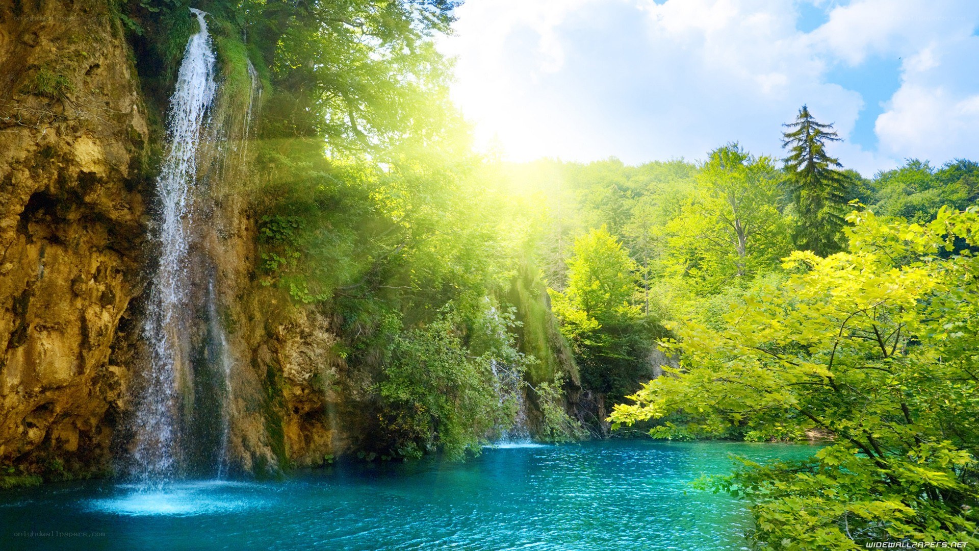 Waterfall in lush green forest