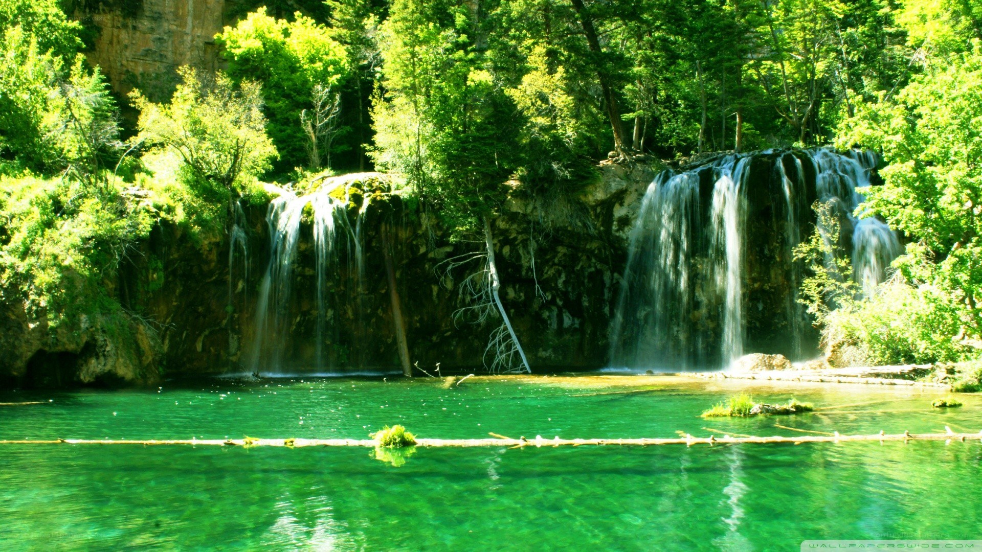 Waterfall in lush green forest
