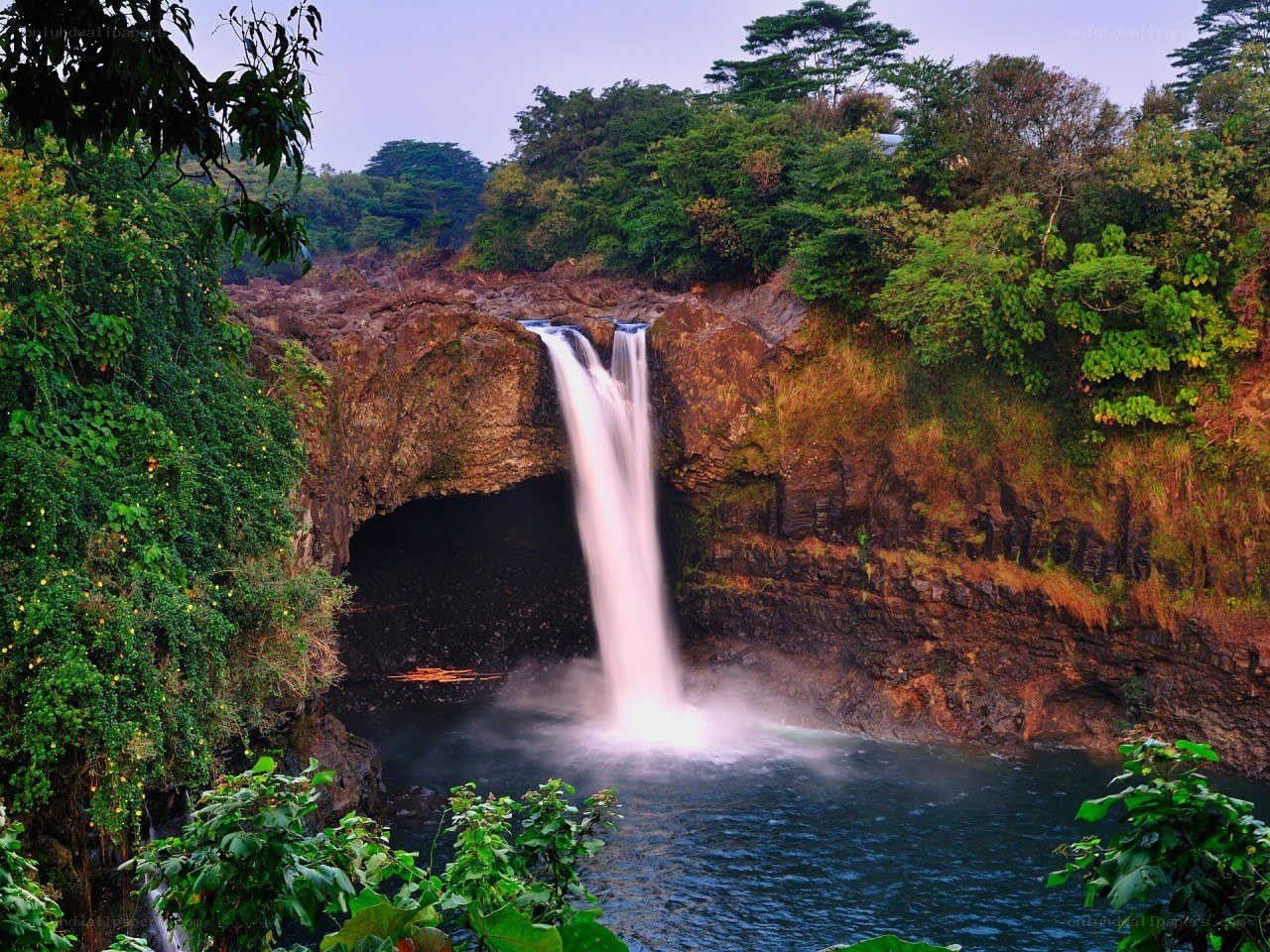 Waterfall in lush green forest