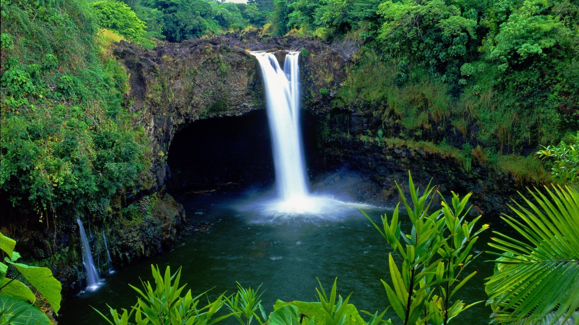 Waterfall in lush green forest