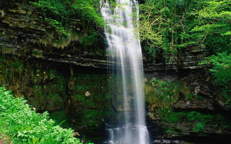 Waterfall in lush green forest
