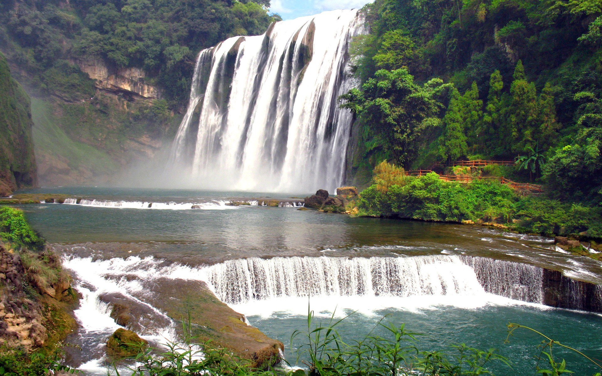 Waterfall in lush green forest