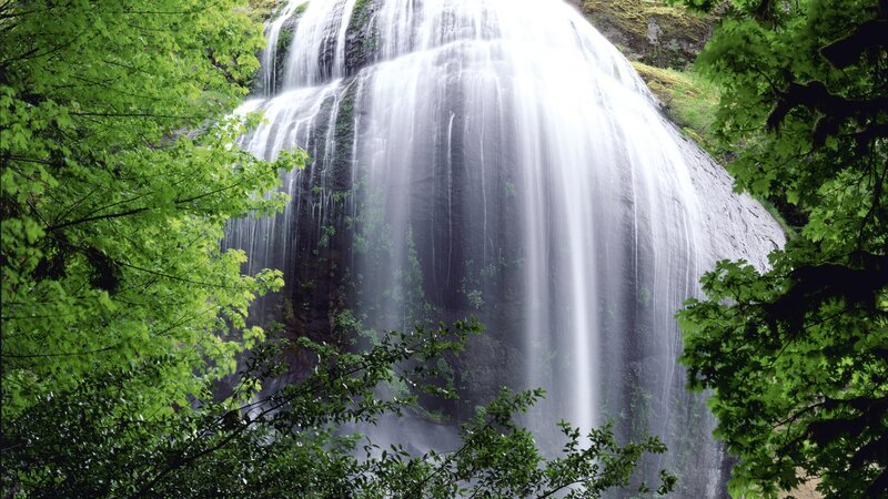 Waterfall in lush green forest