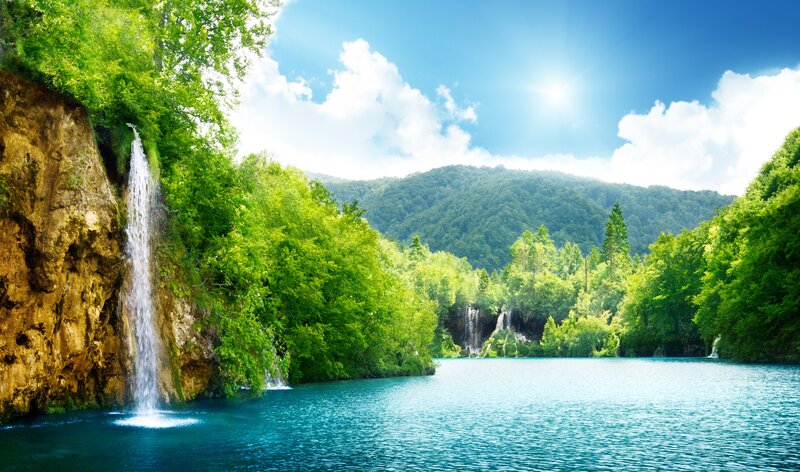 Waterfall in lush green forest