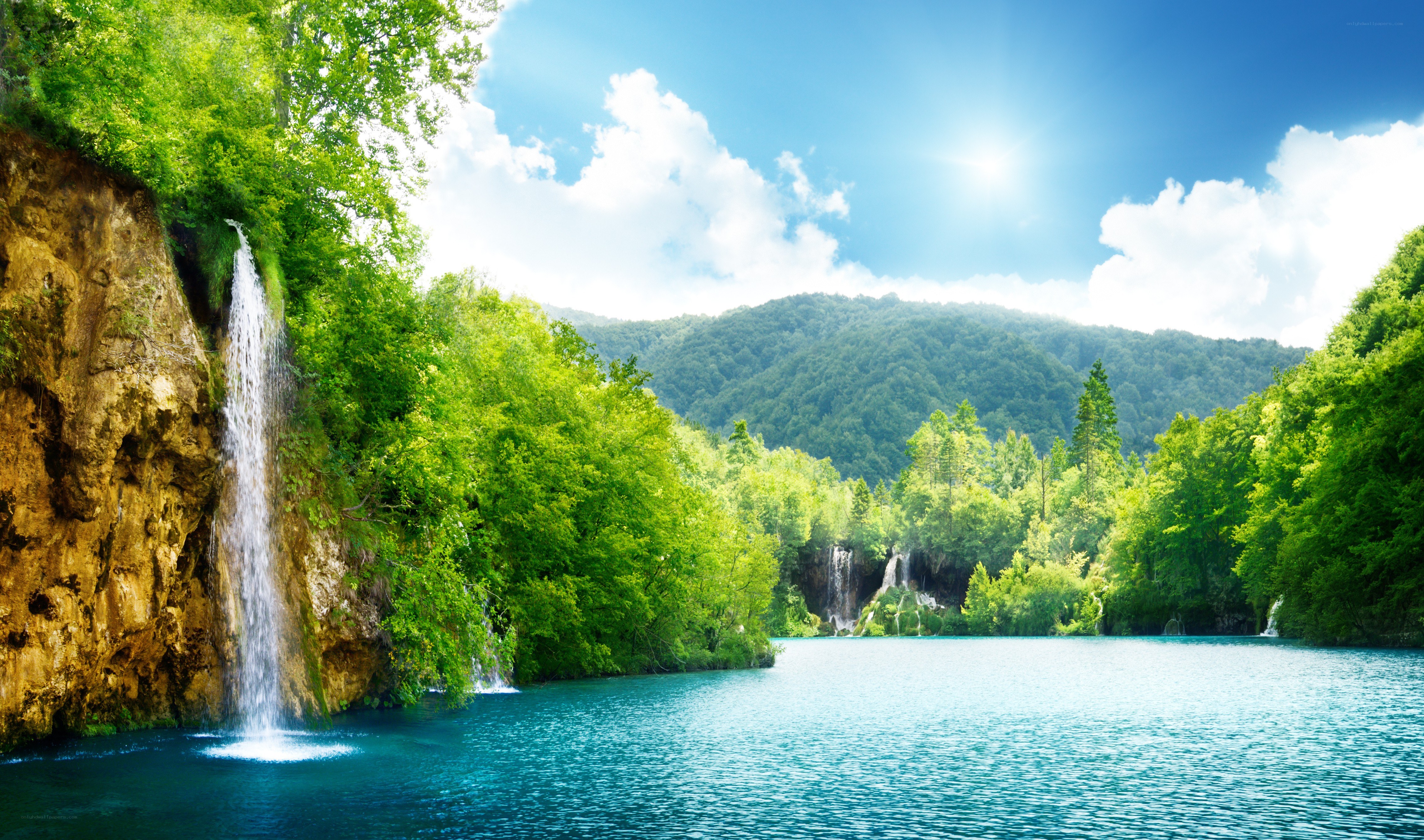 Waterfall in lush green forest