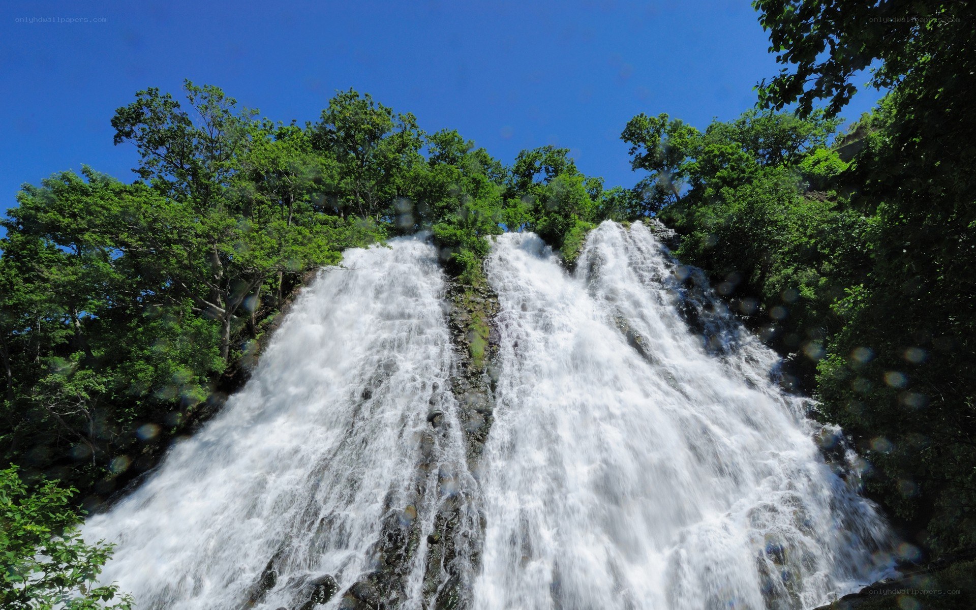 Waterfall in lush green forest