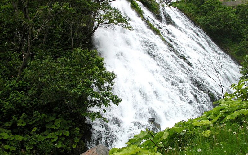 Waterfall in lush green forest