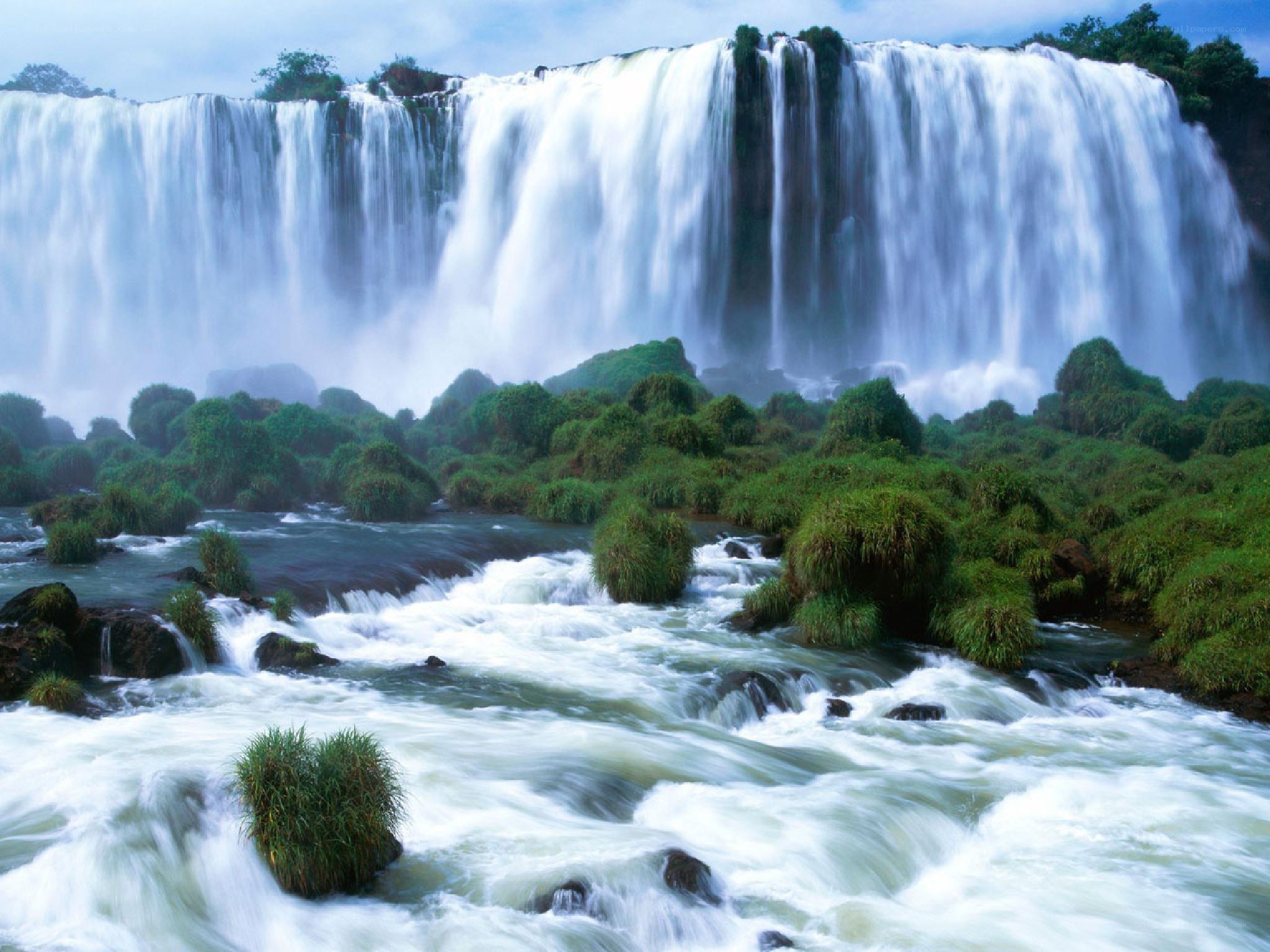 Waterfall in lush green forest