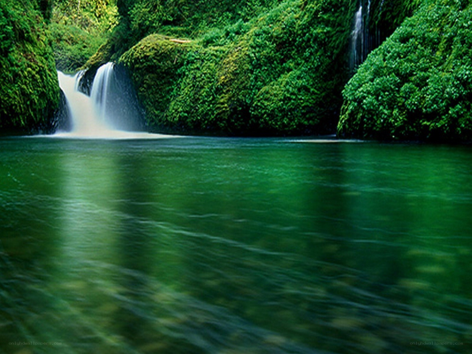 Waterfall in lush green forest