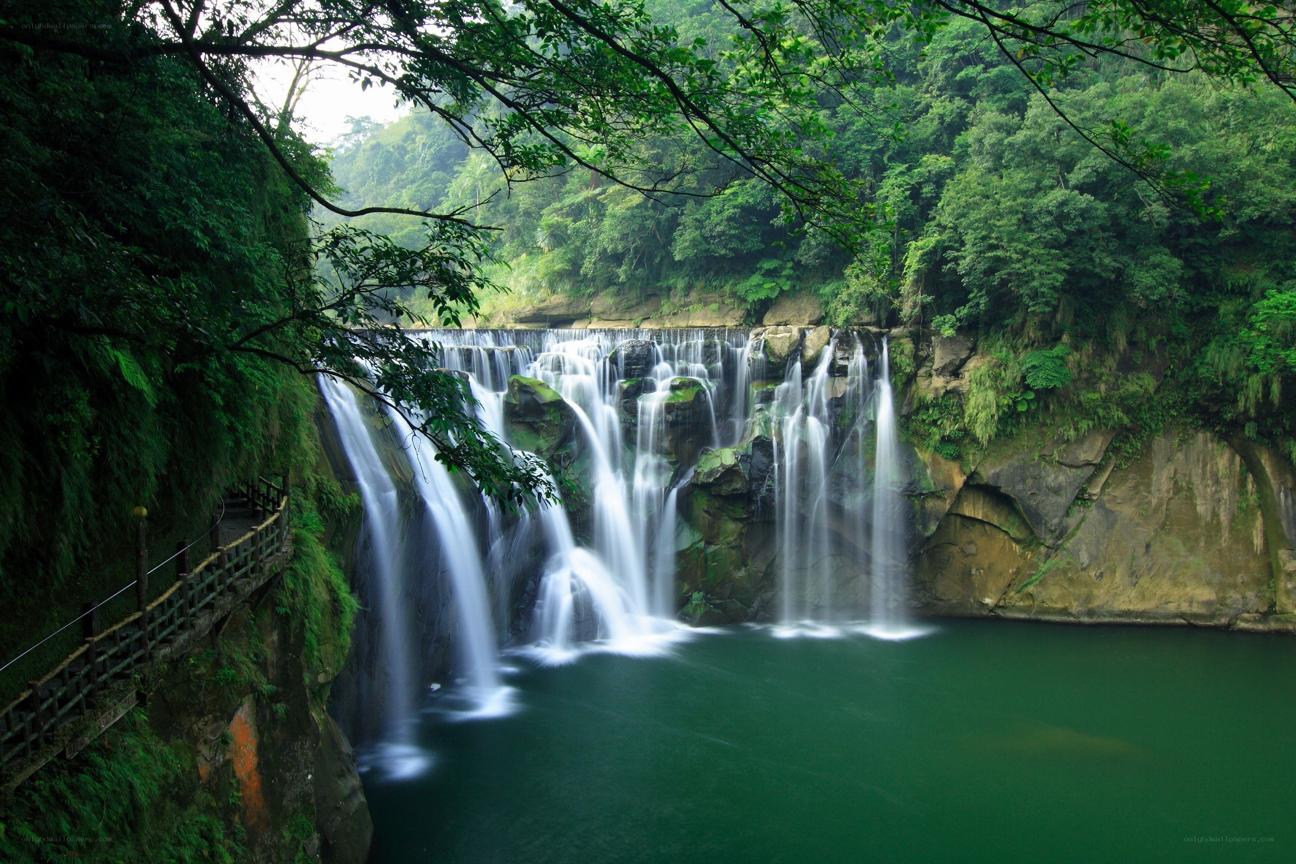 Waterfall in lush green forest
