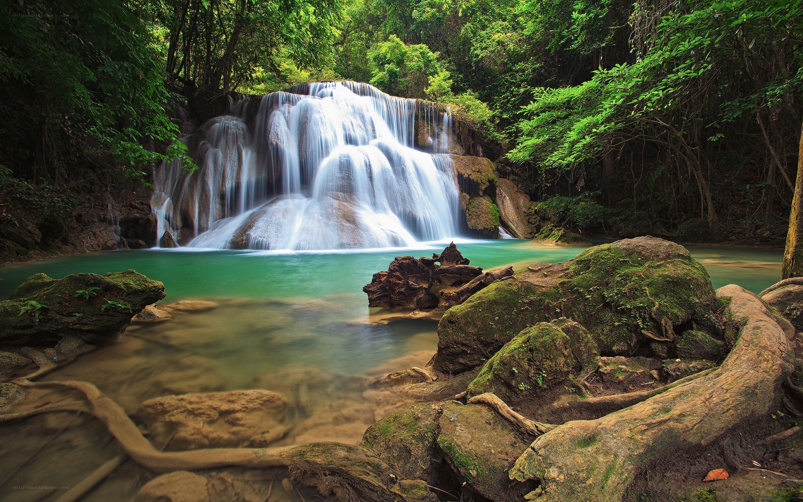 Waterfall in lush green forest