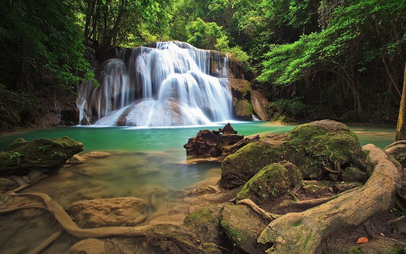 Waterfall in lush green forest