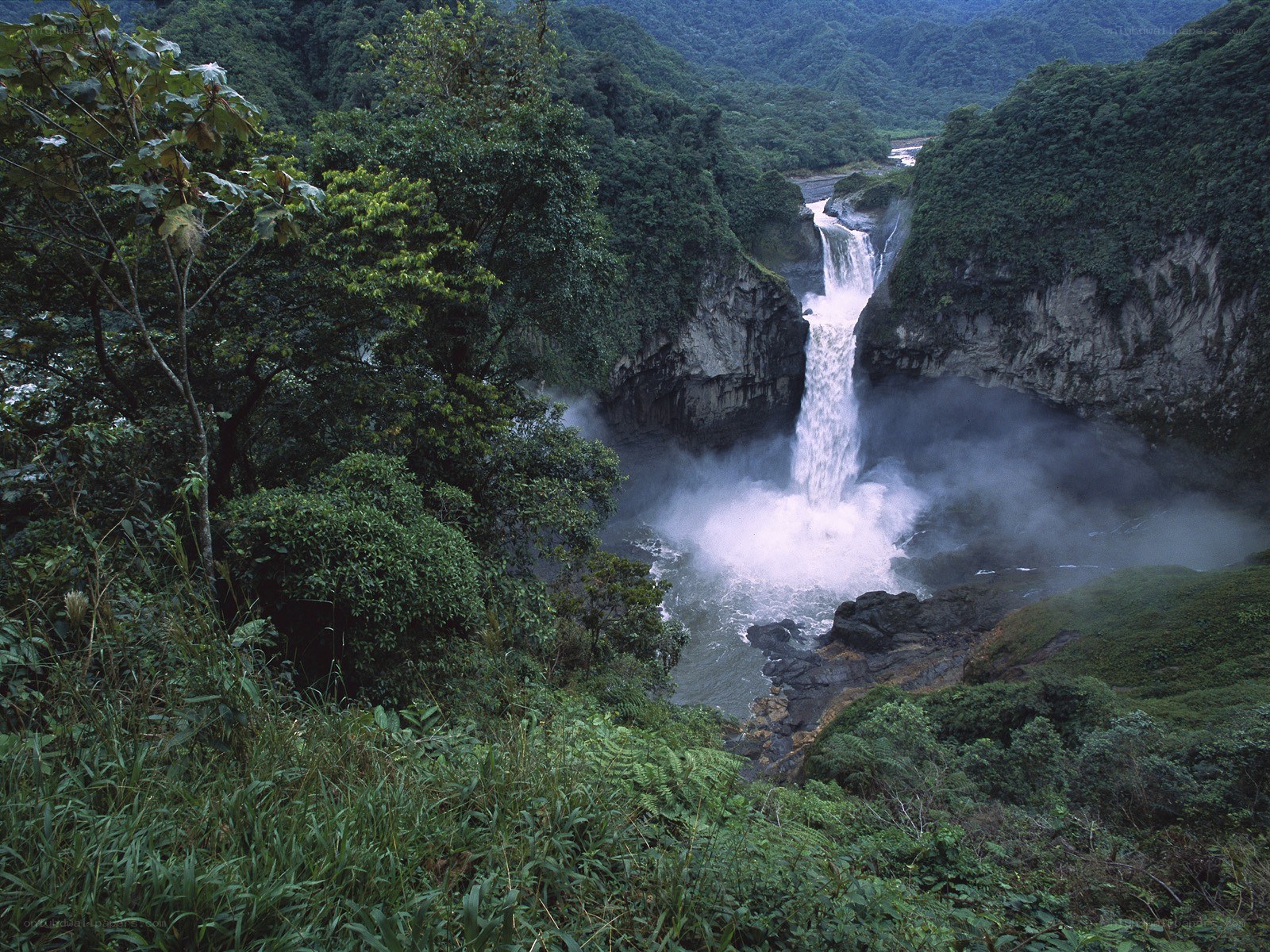 Waterfall in lush green forest
