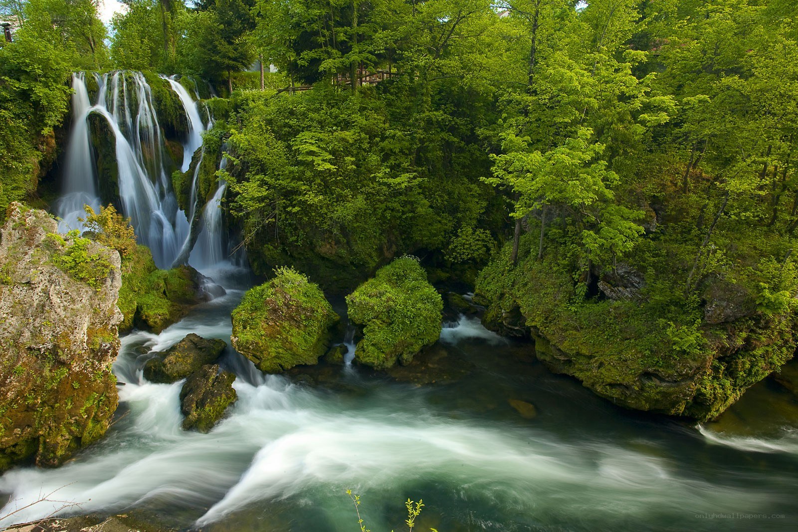 Waterfall in lush green forest