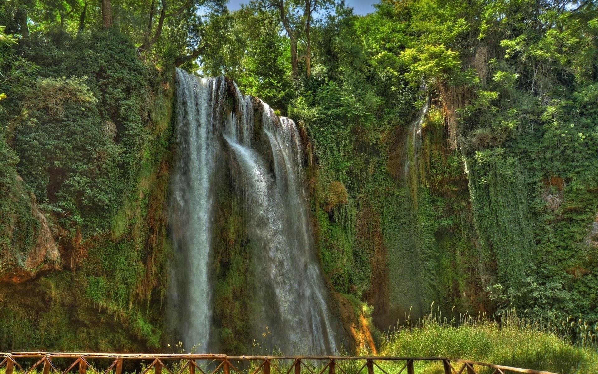Waterfall in lush green forest