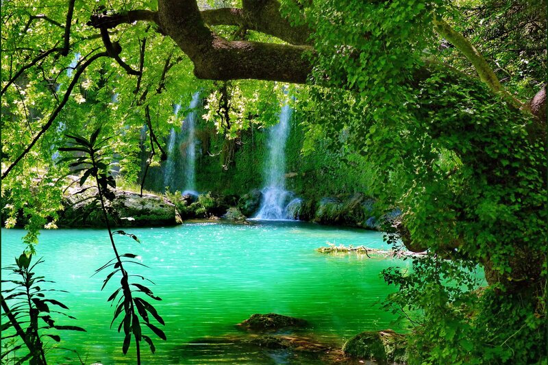 Waterfall in lush green forest