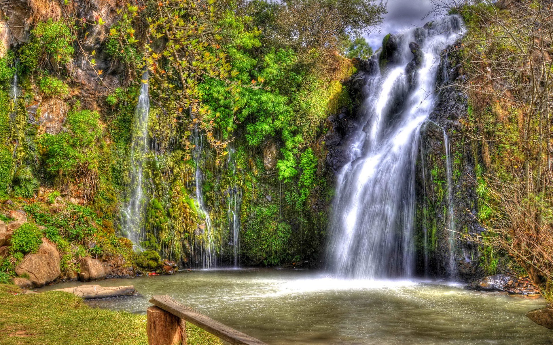 Waterfall in lush green forest