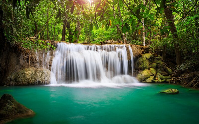 Waterfall in lush green forest