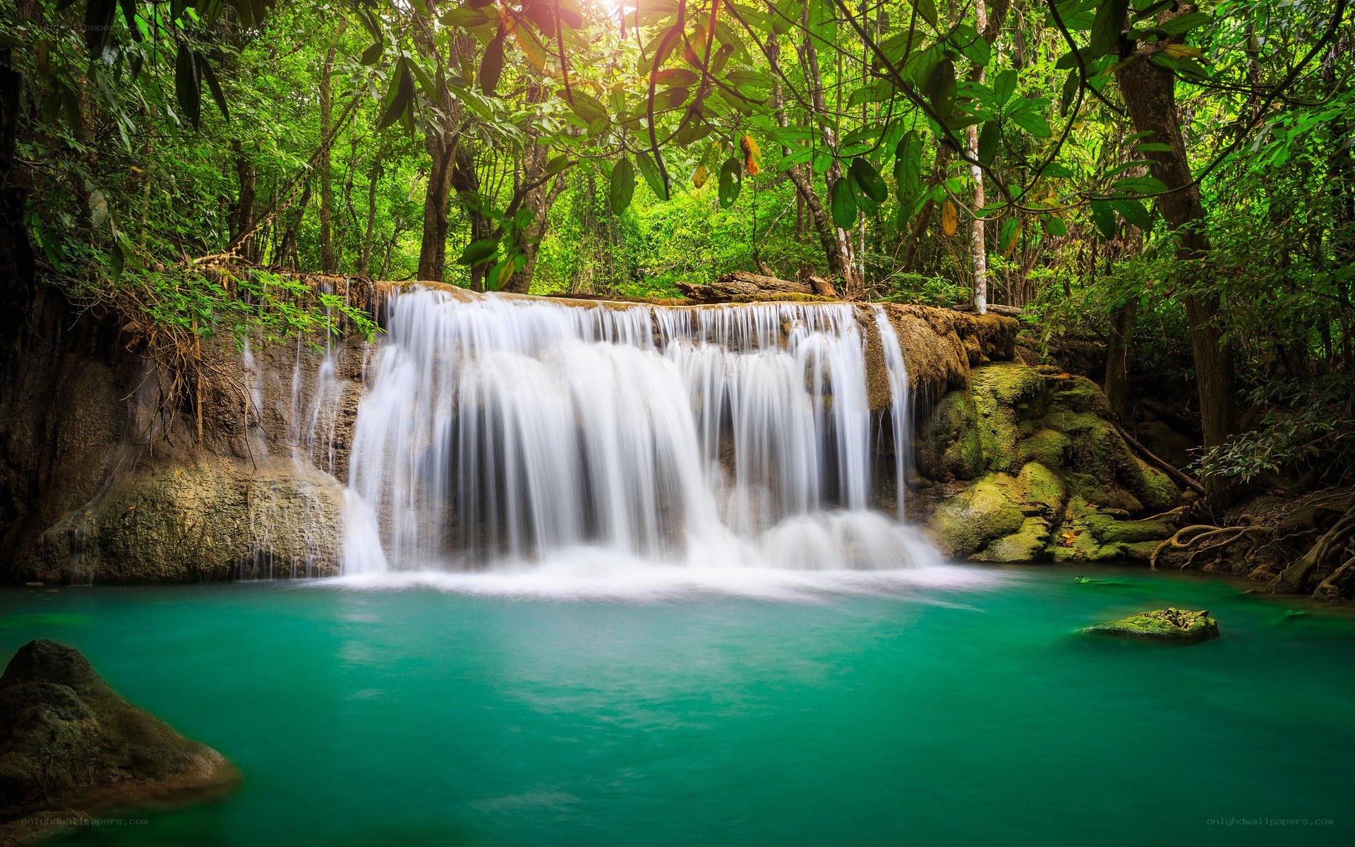 Waterfall in lush green forest