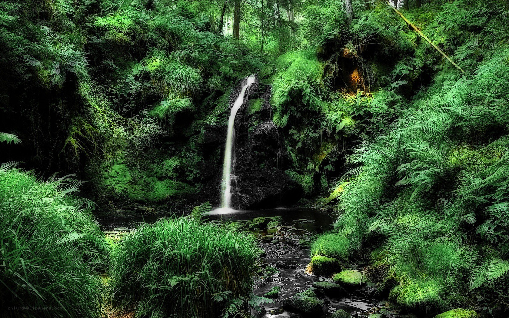 Waterfall in lush green forest