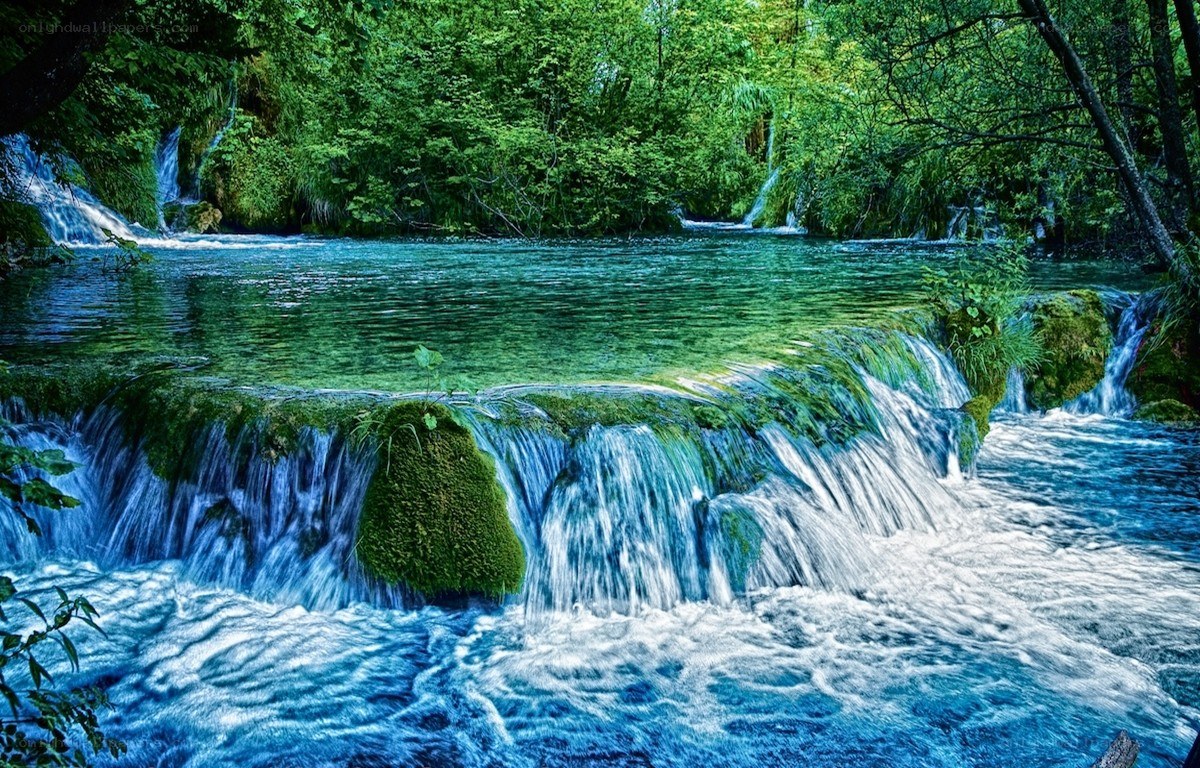 Waterfall in lush green forest