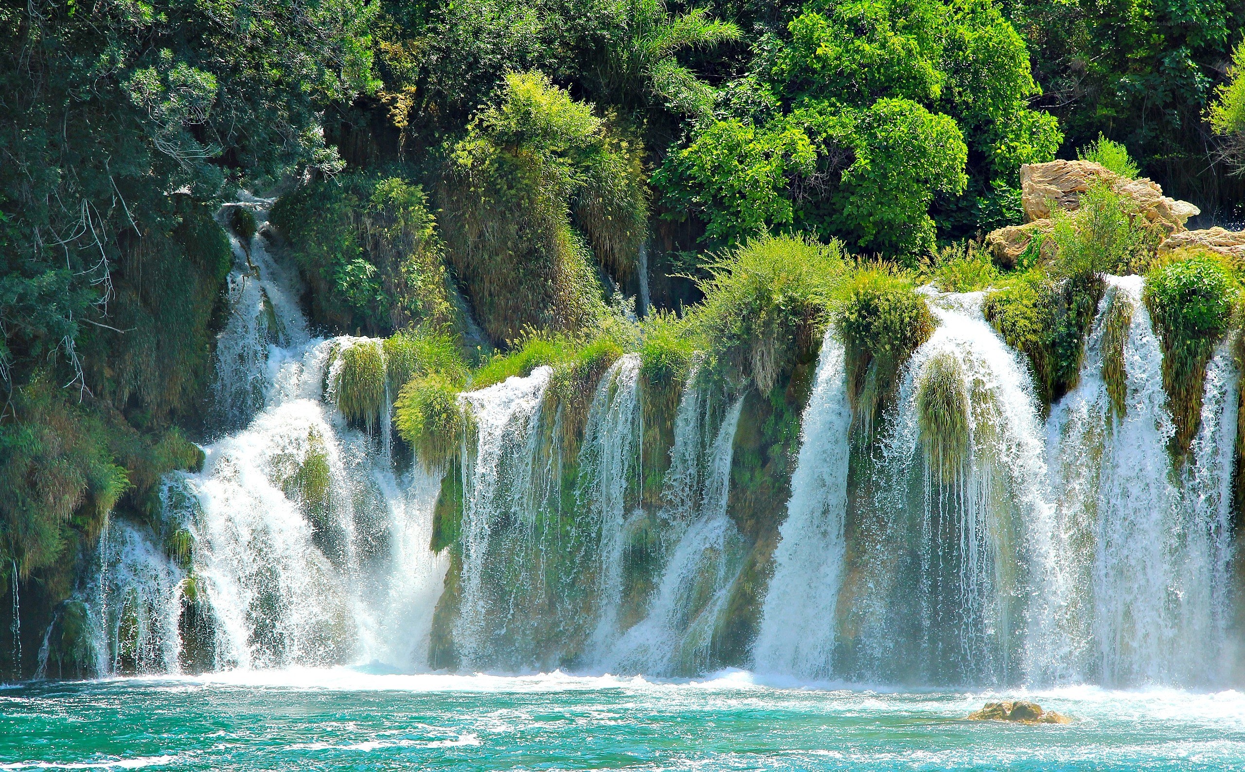 Waterfall in lush green forest
