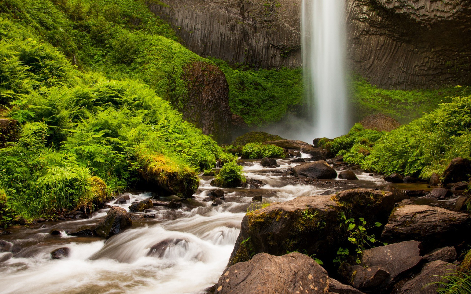 Waterfall in lush green forest