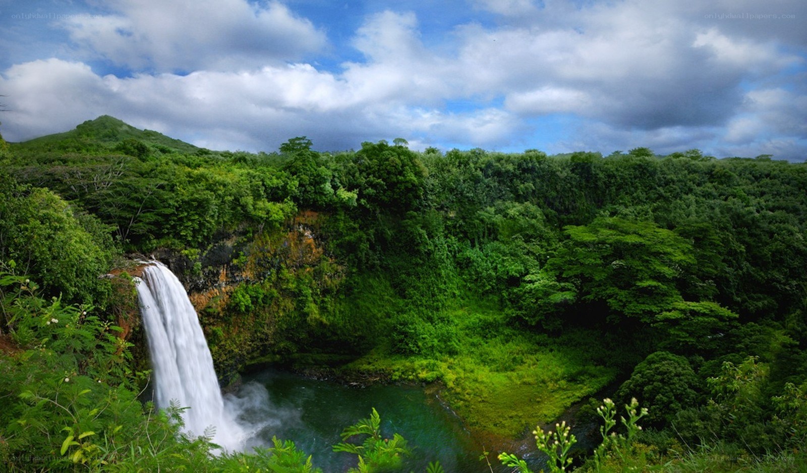 Waterfall in lush green forest