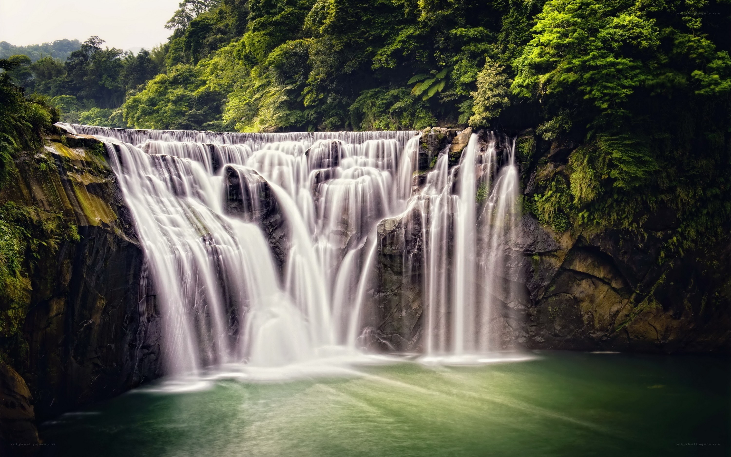 Waterfall in lush green forest