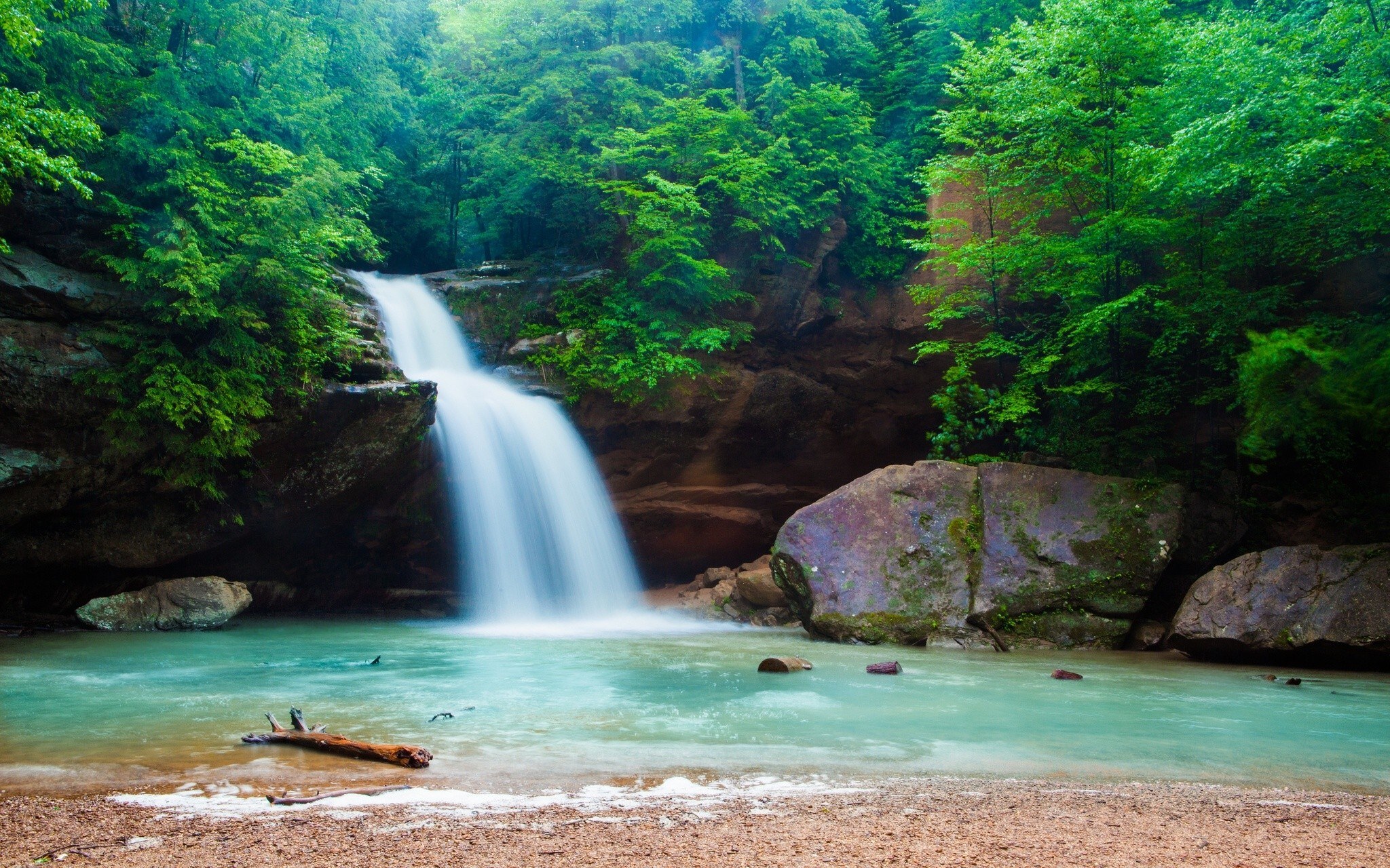 Waterfall in lush green forest