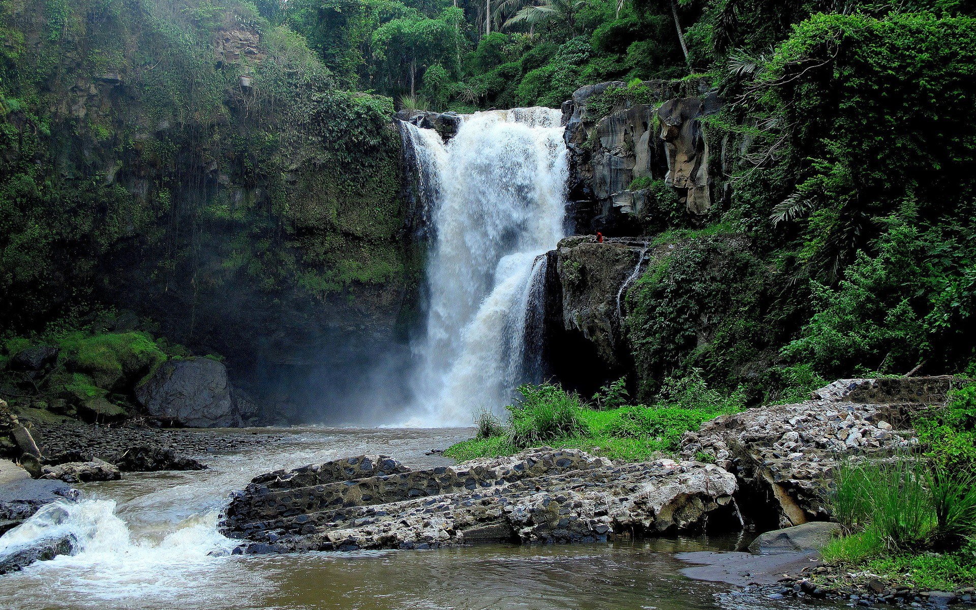 Waterfall in lush green forest