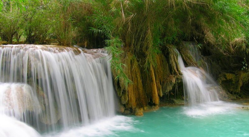 Waterfall in lush green forest