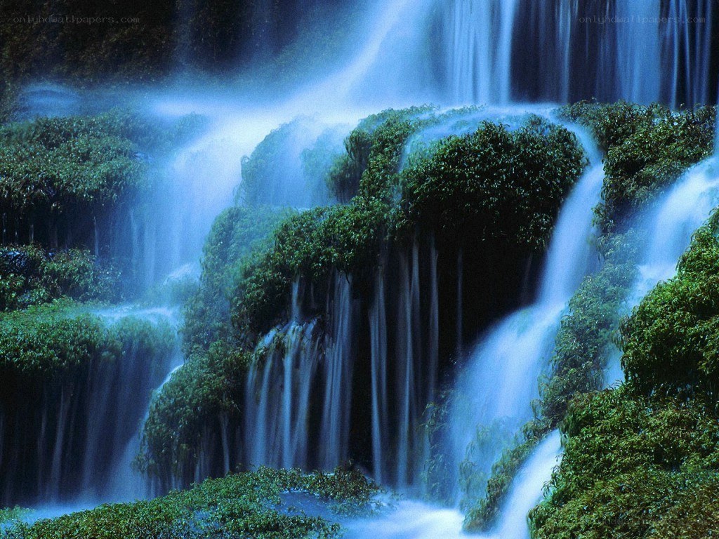 Waterfall in lush green forest