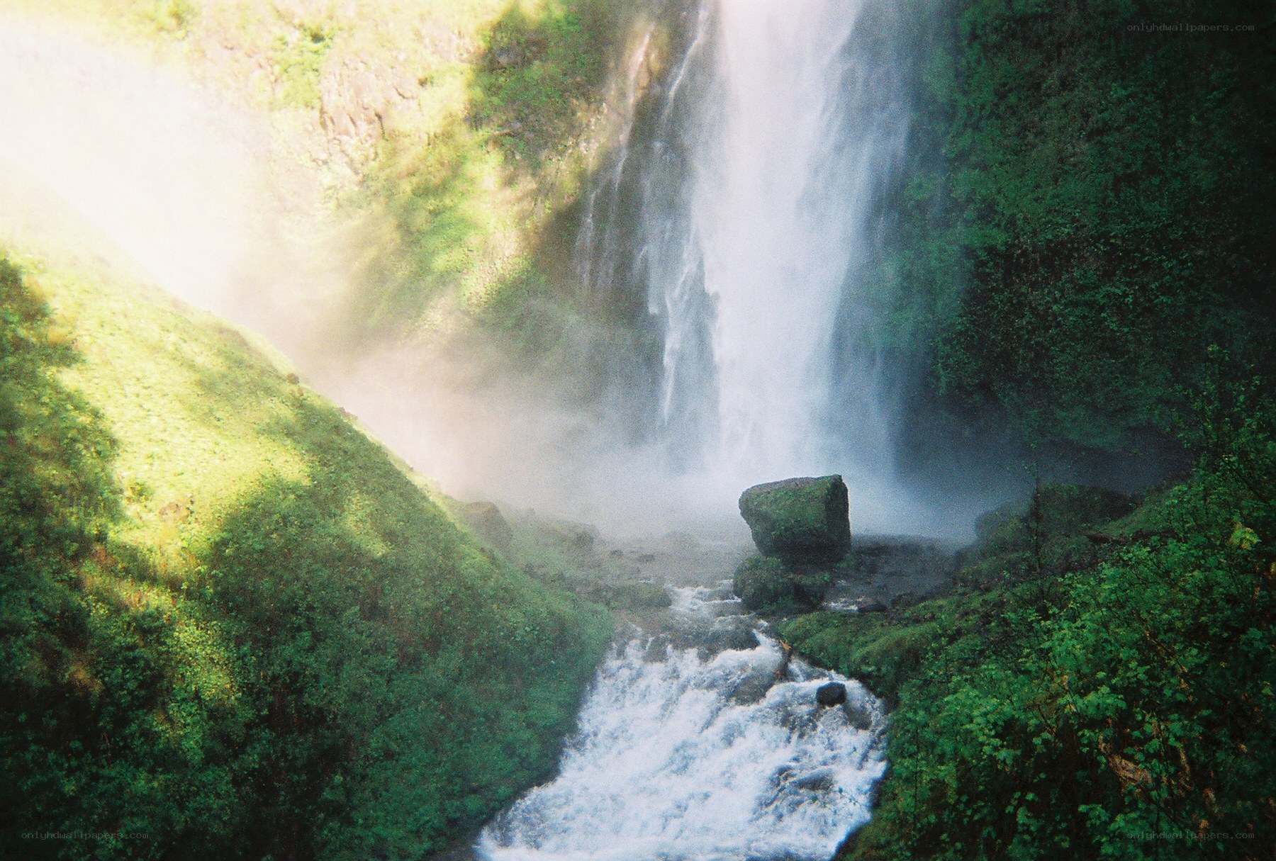 Waterfall in lush green forest
