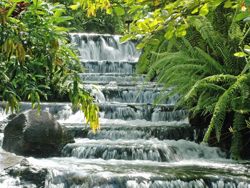 Waterfall in lush green forest