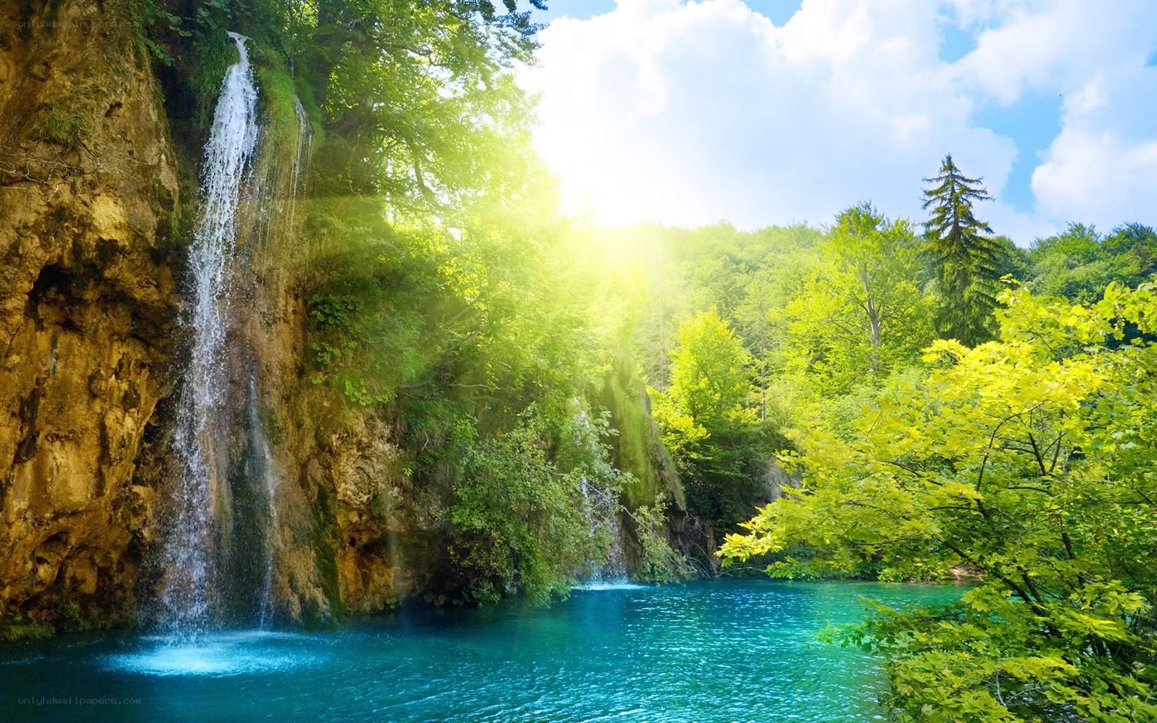 Waterfall in lush green forest