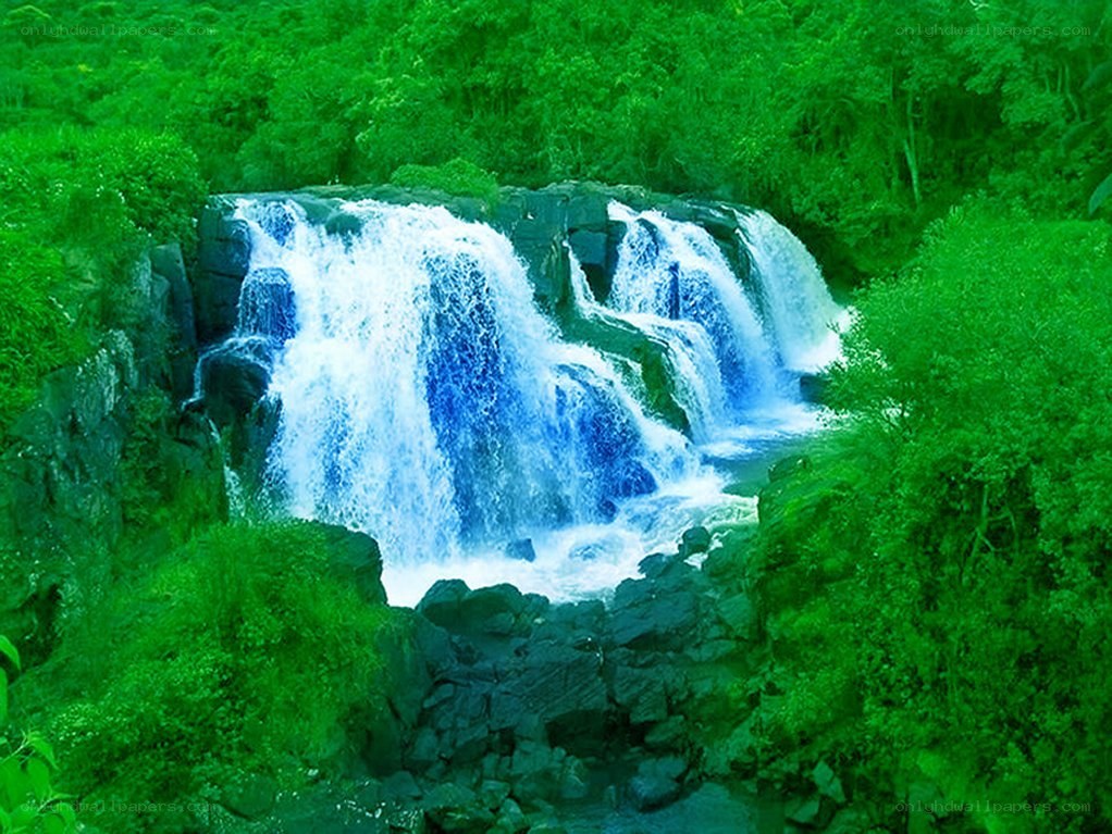 Waterfall in lush green forest