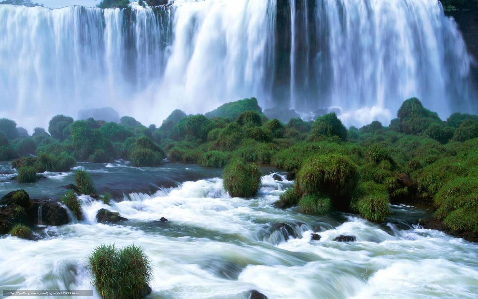 Waterfall in lush green forest