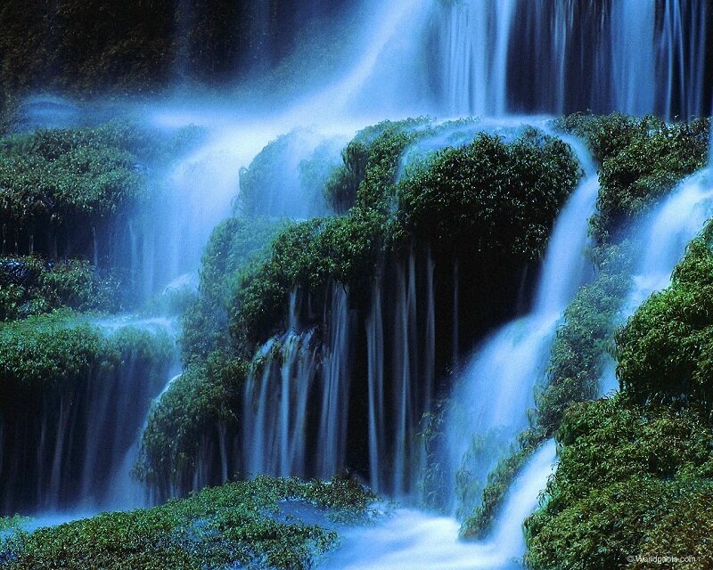 Waterfall in lush green forest