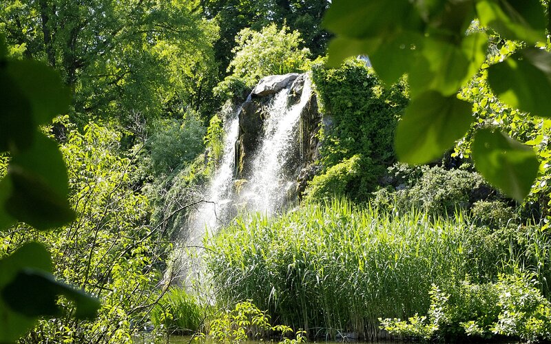 Waterfall in lush green forest