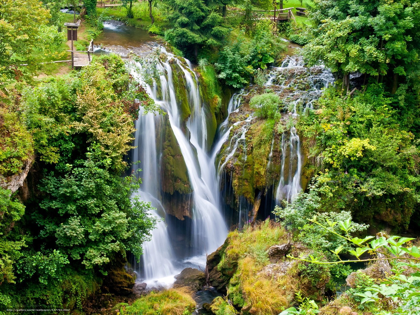 Waterfall in lush green forest
