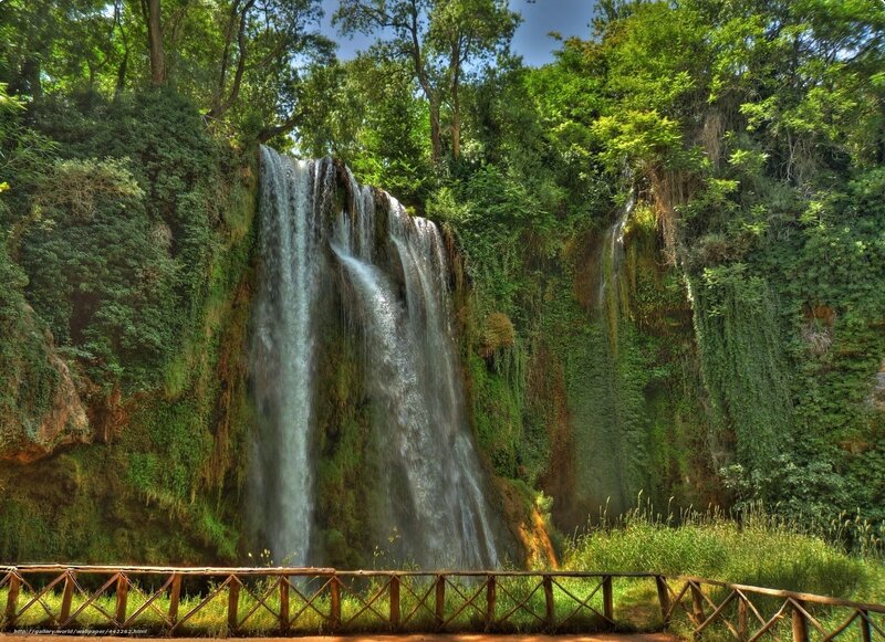 Waterfall in lush green forest