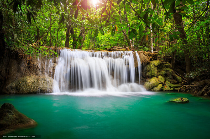 Waterfall in lush green forest